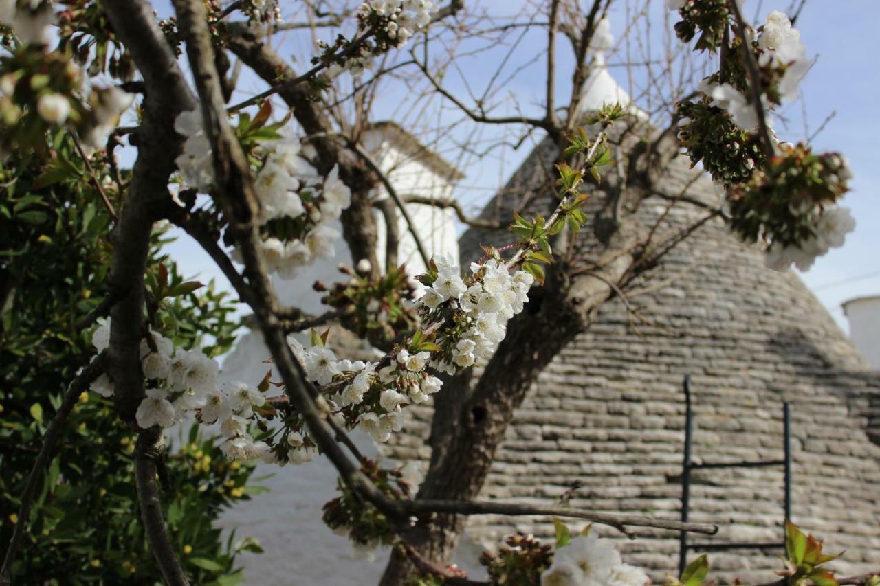Trullo "Vicolo Fiorito" Villa Alberobello Exterior photo